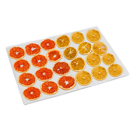 Kwasyo Dörrautomat Edelstahl, 8 Etagen mit 6er Dörrfolie, Rezeptbuch, BPA-frei, 30–90 ℃ Temperatureinstellung, max. 24 Stunden, Dörrautomat für Gemüse, Fleisch, Obstw