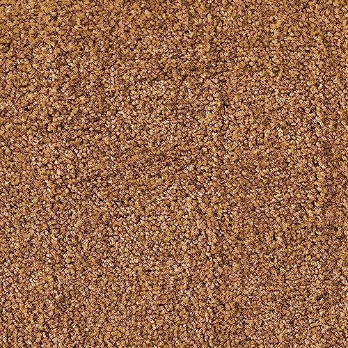 etm Premium Schmutzfangmatte: Strapazierfähig, Waschbar, Rutschfest für makellose Eingänged
