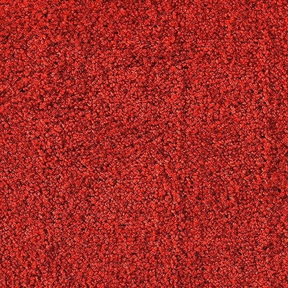 etm Premium Schmutzfangmatte: Strapazierfähig, Waschbar, Rutschfest für makellose Eingänged