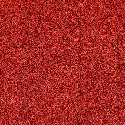 etm Robuste Schmutzfangmatte, Waschbar, Rutschfest, Hohe Reinigungswirkung für Zuhause & Gewerbed